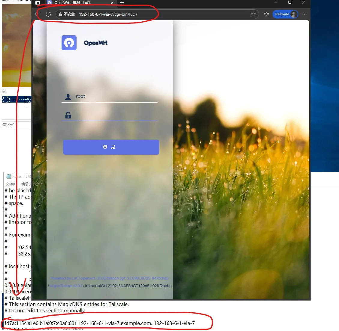 magicdns query example
