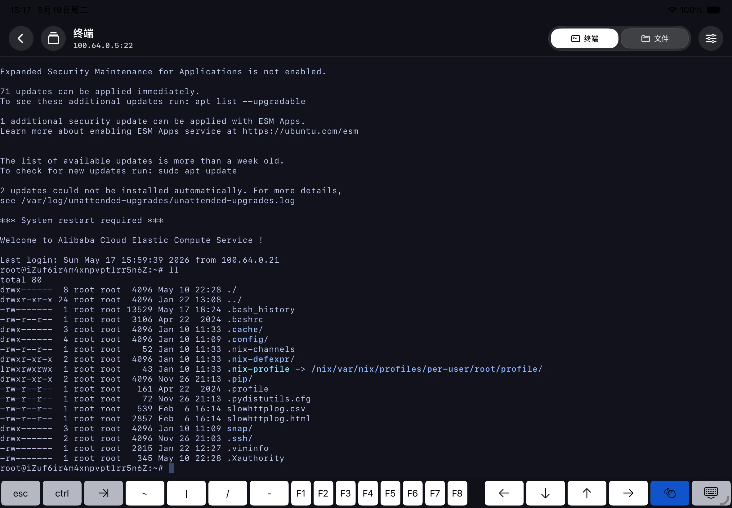 SSH into a server from iPad through the Larktun app