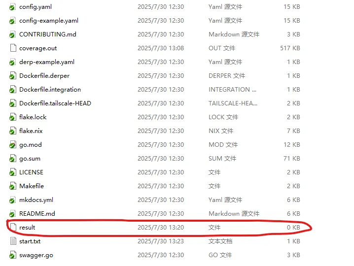 headscale build result on windows